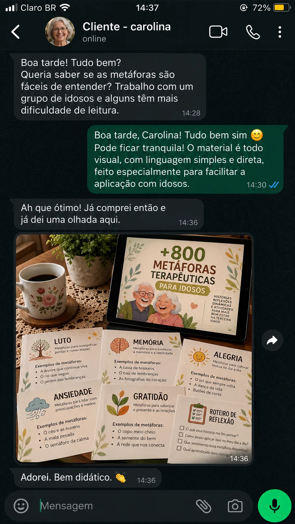 Conversa enviada: depoimento de Carolina sobre as metáforas para idosos