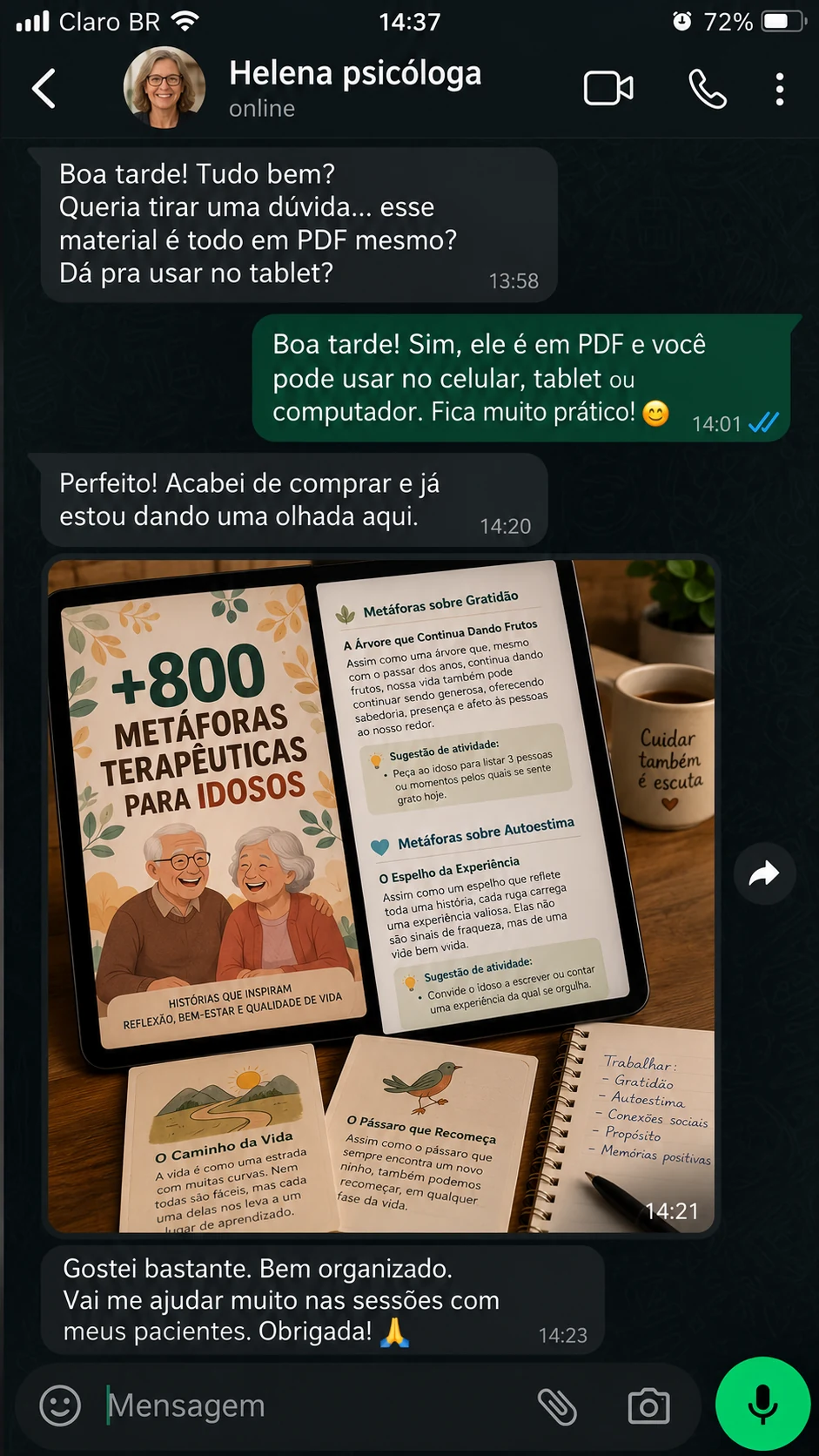 Conversa enviada: depoimento de Helena sobre as metáforas para idosos