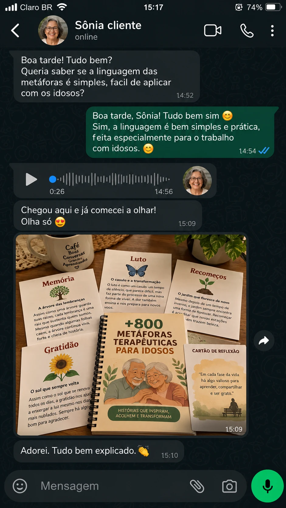 Conversa enviada: depoimento de Sônia sobre as metáforas para idosos