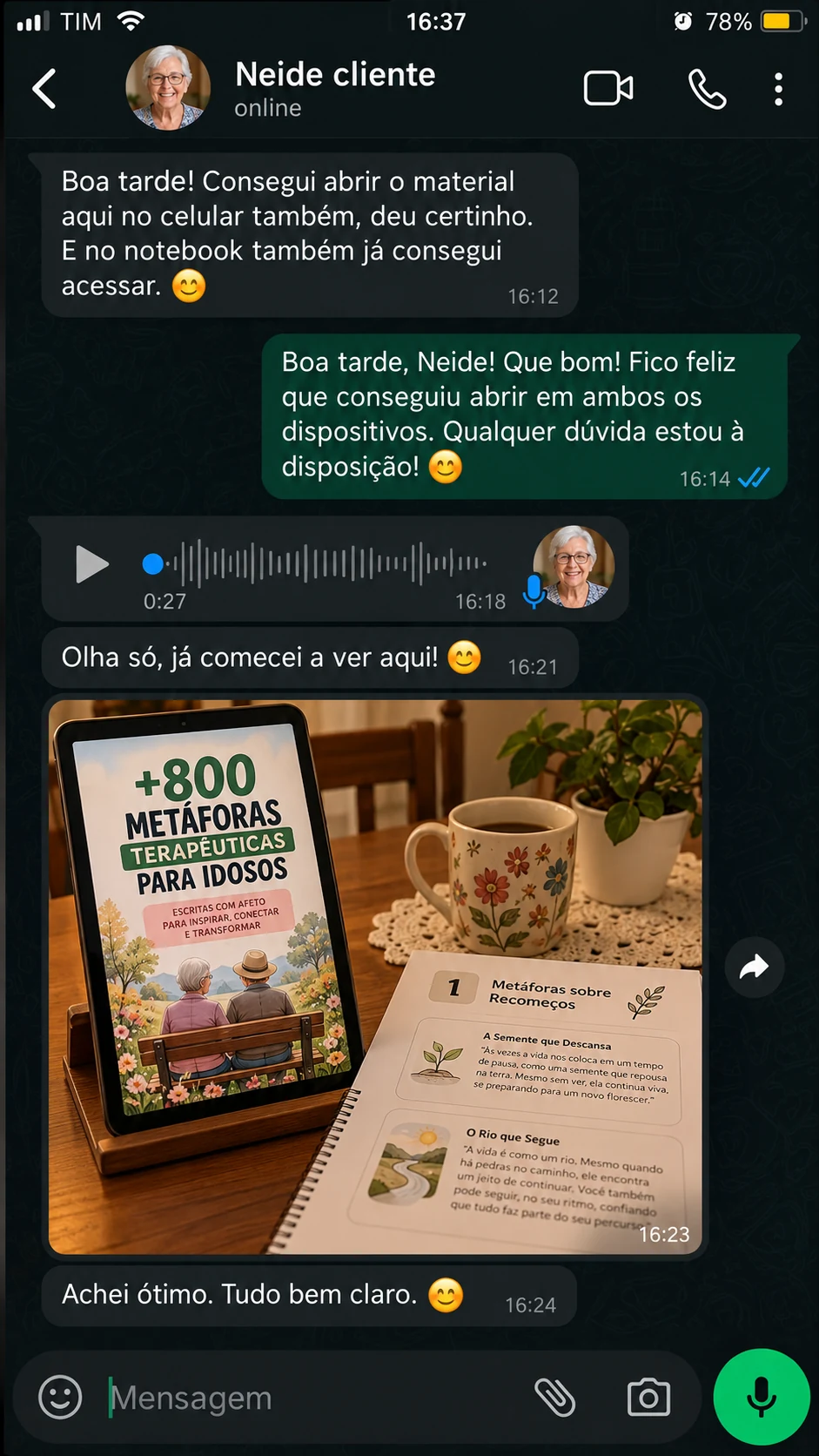 Conversa enviada: depoimento de Neide sobre as metáforas para idosos